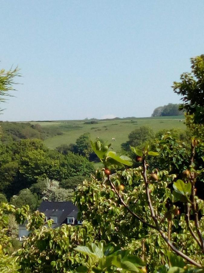 12 Impasse Damilaville Étretat Exterior foto